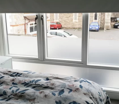 Frosted Privacy Window Film 001