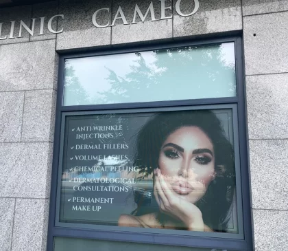 Window Graphics 004